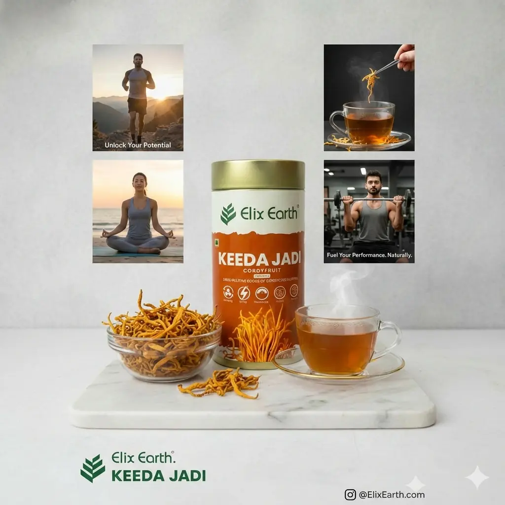 Cordyceps (keeda Jadi) 2